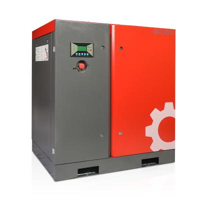 China CAC10A-175A xinlei direct drive lubricated professional rotary screw air compressor for sale