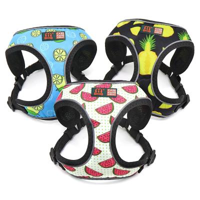 China Midepet Factory Wholesale Padded No Pull Dog Harness Fruit Printing Luxury Designer Dog Harnesses for sale