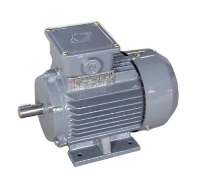 China IP54 Series High Voltage Slip Ring AC Induction Electric Motor for sale