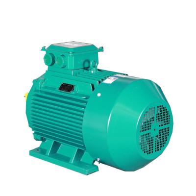 China Hot Sale Motor High Efficiency Dustproof Motor Totally Enclosed for sale