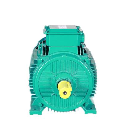 China Totally enclosed high voltage electric motor motor for sale