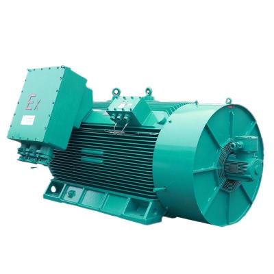 China Totally Enclosed Synchronous Motor AC Motor Proof Winding Rotor Medium Voltage Motor for sale