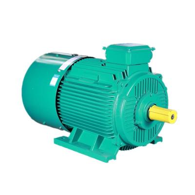 China AC Motor Good Quality Fully Enclosed Winding Rotor Dustproof Middle Voltage Motor for sale