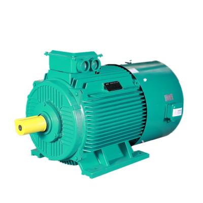 China Hot Sale AC Motor Fully Enclosed Winding Rotor Dustproof Medium Voltage Motor for sale