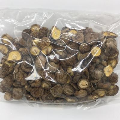 China Dry Cultivation Enoki Shiitake Magic Dry Maitake Sprinkle Mushroom Kit Leg Plug Spaw Stem Powder for sale