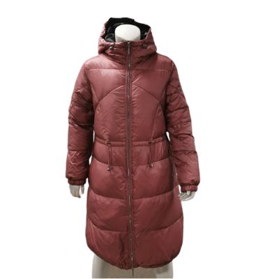 China High Quality Classic Stylish Anti-wrinkle Winter Women Thicken Padded Aplet Stripper Jacket With Hooded for sale