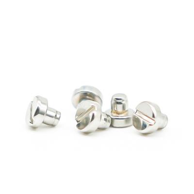 China Steel Manufacturers Supply Customized White Galvanized Solid Flat Head Iron Rivets for sale