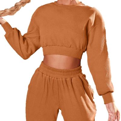 China Anti-pilling 2021 Hot Selling Solid Color Pit Strip Lantern Sleeve Ribbed Women Sets Plus Size Sexy Clothing Equipment for sale