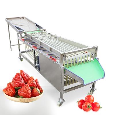 China Automatic Fruit Processing Plant Fruit and Vegetable Dimension Sorting Grading Machine Orbital Sorter Fruit and Vegetable Dimension Sorter for sale