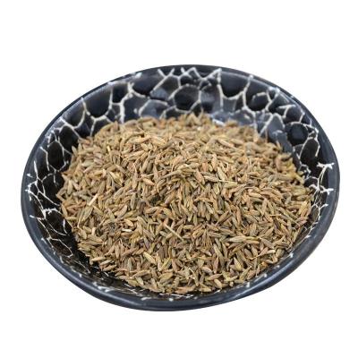 China High Quality Healthy Dried Spice Black Cumin Seeds for sale