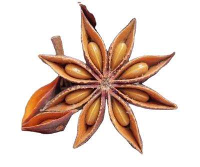 China Dried the last crop of star anise for sale