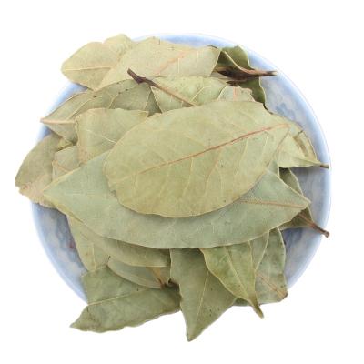 China SPICES Processing Plant Wholesales Dry Single Bay Leaf Plant For Sale Seasonings Berry Laurel Leaves for sale