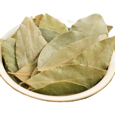 China Best-selling quality and good dry Laurel Leaves Bay Leaf for sale