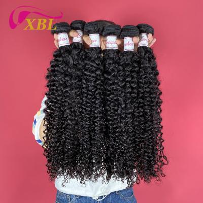 China Regular Wave XBL Global Market Curly Hair Bundles, One Bundles Human Hair Dyeable Distributor Vendors, Virgin Unprocessed Human Hair Bundles 12a for sale