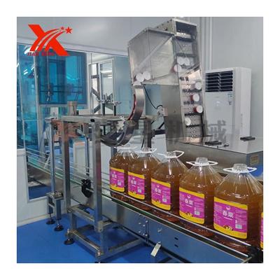 China Guangdong Wholesale Food Factory High Quality Feeder Machine Automatic Capping Machine for sale