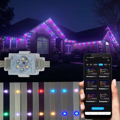 China Permanent holiday lighting Twinklight Lamp Decoration Holiday Led Permanent Christmas Light Outdoor for sale