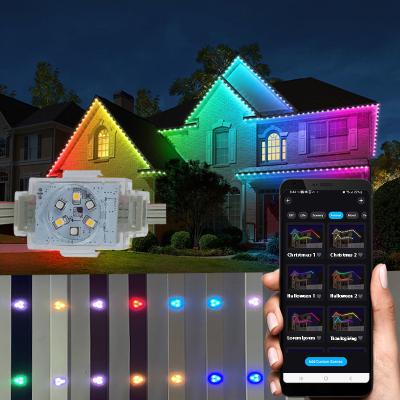 China Permanent holiday lighting Twinklight Smart Wifi Permanent Permanent Outdoor Light Wifi Controller for sale