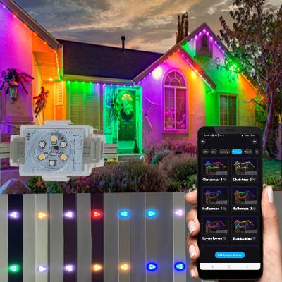 China Permanent holiday lighting Twinklight China Factory Price Water-Proof Permanent Outdoor Led Lights for sale