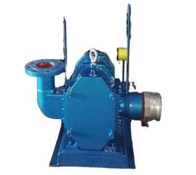 China Other WZB Type Non - Blocking Slurry Rotor Pump Manufacturers Spot Direct Sales for sale