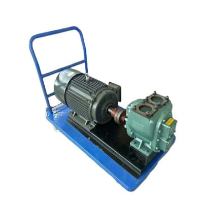 China Other High Efficiency Arc Explosion Proof Gear Pump for sale