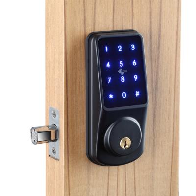 China Waterproof Electronic Keyless Password Locks APP Waterproof Electronic Keyless Password Locks CE Apartment CE Touchpad FCC Entry Door Smart BLE Deadbolt IP65 TTlock Home Lock for sale