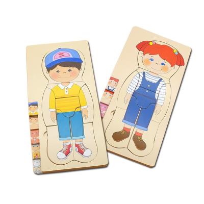 China Multi-layer structure children's human body DIY TOY Tiktok toys onshine puzzle intellectual wooden early education toys for sale