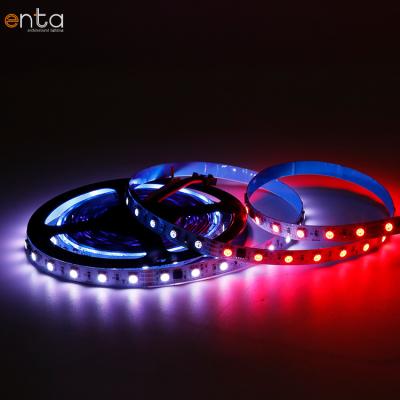 China Entertainment Venue/Business Center/Mall Best Quality and Low Price 24V 60Leds RGB Colorful Lights W2700K 5M Led Strip Lights RGB 5050 for sale