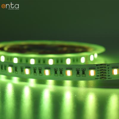 China Entertainment Venues/Business Center/Chinese Factory Shopping Mall Hot Sale Rgb+ C2500K+W6000K Waterproof Ip66 Led Strip Light Flexible 5050 Rgbcw Led for sale