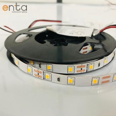 China Warehouse DC12V 24V 8W 10W Waterproof IP66 2835 Led Strip Light for sale