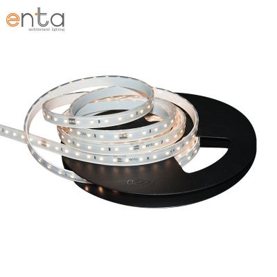 China Warehouse High Brightness 2835 Led Strip 5M 168led Light Cold White Outdoor Led Strip Light IP66 168led/m for sale