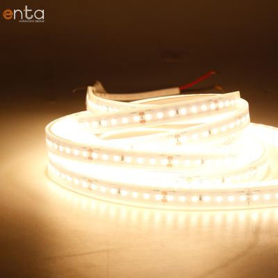 China Indoor/Bedroom/Apartment China Commercial/Hotel/Best 100Lm/W Fpc 8Mm Than 168Leds 6500K Silicon Led Strip Light 24V Waterproof for sale