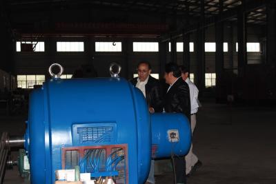 China Wasser-Turbinen-Generator/Wasserkraft-Generator für Strom-Station zu verkaufen