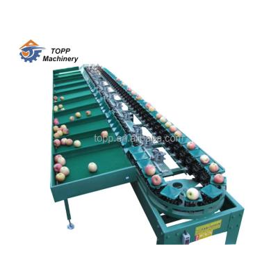 China Hotels Base Price Fruit Weight Grading Sorter Pear Grading Machine for sale