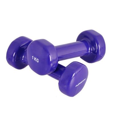 China Plastic Dip In Dumbbell Factory Process Matte Surface Plastic Dip Cast Iron Set Gym Training Fitness Equipment Dumbbell for sale