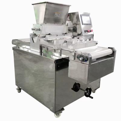 China Bakery, Food and Beverage Biscuit Production Machine Rotary Biscuit Cutter Biscuit Cookie Making Plant Plant for sale