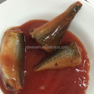 China Sardine in Tomato 125g / 155g / 425g Tomato Sauce Sardinas en lata Ikan Sardin Dalam SOS for sale