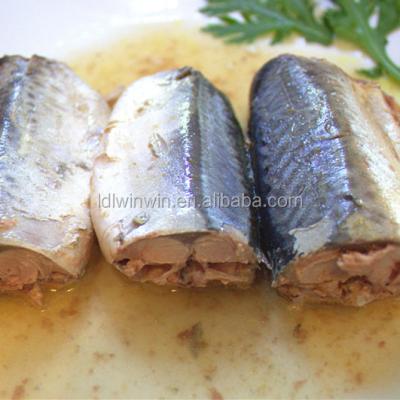 China Canned Canned Mackerel Fish For Sri Lanka for sale