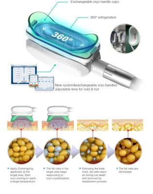 China Professional Fat Freezing Weight Loss Device 360 ​​Vacuum Cryotherapy Freezing Machine for sale