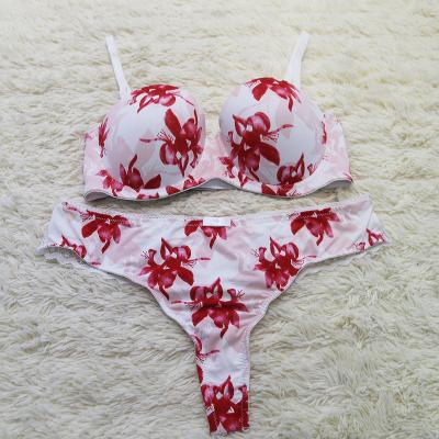 China Breathable Wholesale Printed Comfortable Underwear Tow-Piece Sets Sexy Women Bra Brief Set for sale