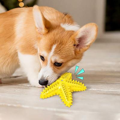 China Wholesale Durable Cute Interactive Pet Toy Durable Dog Toy From Viable Factory for sale