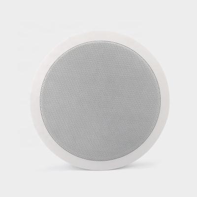 China TPI-351 Professional 6 Inch 5W/10W Plastic Audio Plastic Passive Speaker for sale