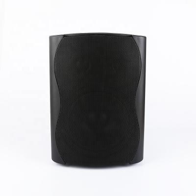 China F-LHY5S Professional 5 Inch 30W Two Way Audio Plastic Passive Speaker for sale