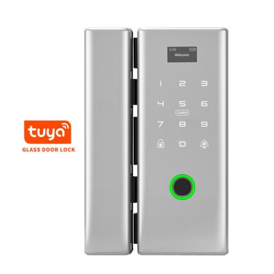 China APP remote control biometric fingerprint aluminum alloy wifi tuya digital smart glass door lock for office for sale