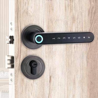 China ble+card+password+key topping high quality Ble smart door handle lock access control wireless keypad password for sale