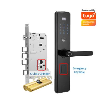 China Smart Home Hotel Residence LED LCD Screen Menu Life Tuya WiFi App WiFi Lock Fingerprint Lock Biometric Smart Digital Smart Home Bedroom Door Lock scanner house for sale