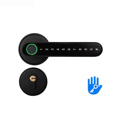 China Ble+card+password+key Biometric Smart Door Lock Digital Small Mini Fingerprint Door Handle Lock Electronic Wooden Home for sale