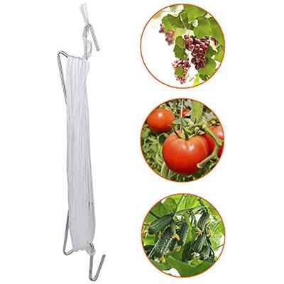 China Commercial Greenhouse Tomato Clip Anti Aging Tomato Planting Hook With Tips M Vegetable Hook Excellent Quality With String for sale