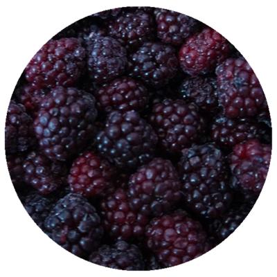 China IQF Frozen Fruit Hot Selling Frozen Blackberry for sale