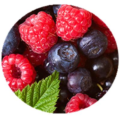 China FROZEN IQF Mixed Fruit IQF Mixed Berries for sale