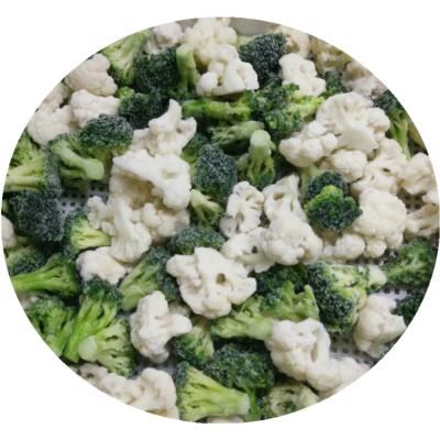 China JELLY Whole Sale Frozen Vegetables Mix IQF Winter Mix Frozen Broccoli and Cauliflower for sale